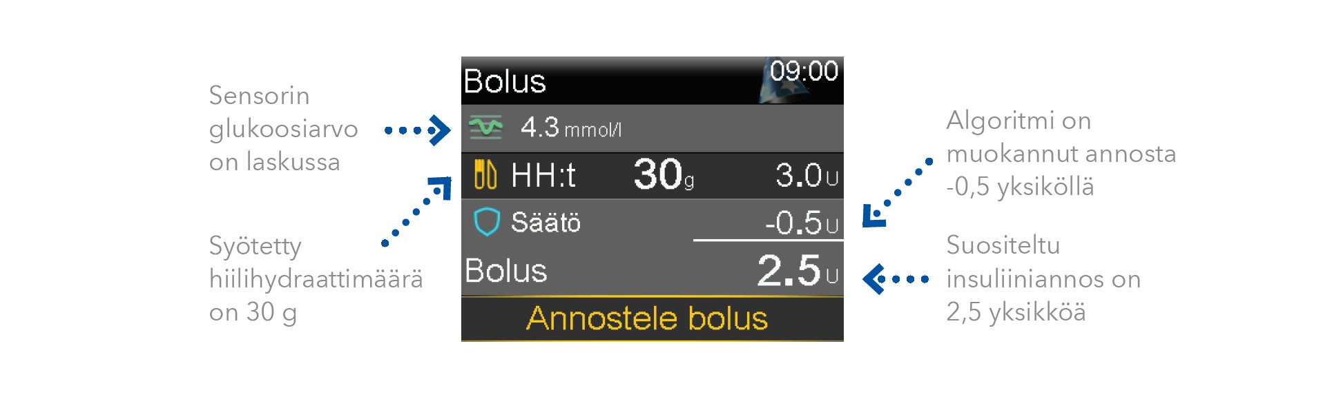 ”bolus”