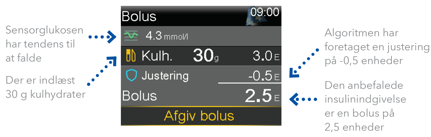 ”bolus”