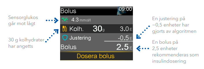 ”bolus”