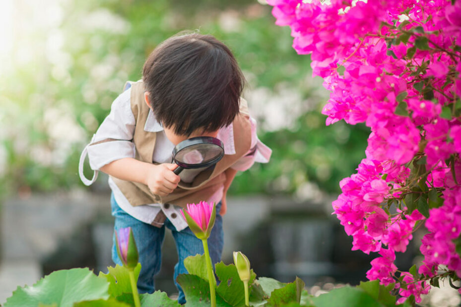 blog
