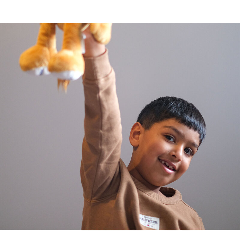 Talha Minimed