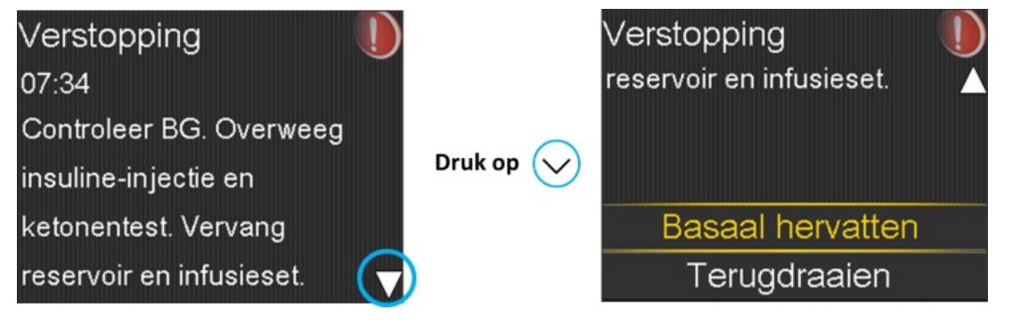 Scherm